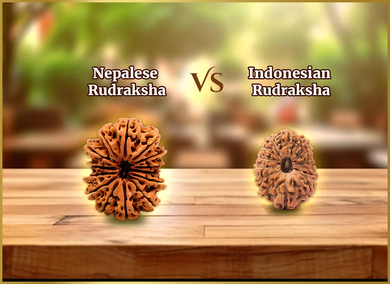 Side-by-side Indonesian and Nepalese Rudraksha beads, highlighting visual and spiritual differences